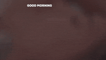 Good Morning Reaction GIF by Lauren Jenkins