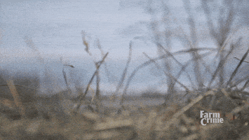 pop up hello GIF by CBC