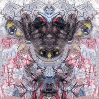 Crypto Nft GIF by Luis Ricardo