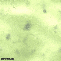 water bacteria GIF by Psyklon