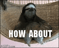 sloth no GIF sloth no GIF
