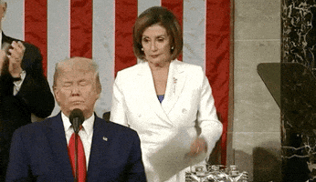 Brava!  Congresswoman Nancy Pelosi