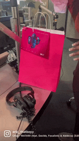Shopping Bag GIFs - Find & Share on GIPHY