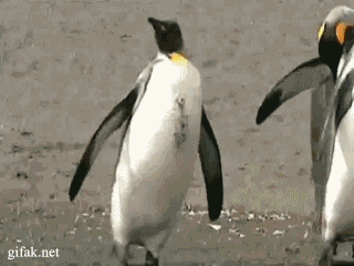 source.gif