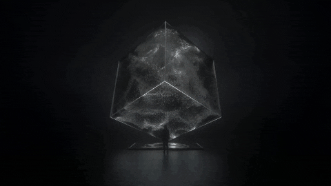 Profile Banner