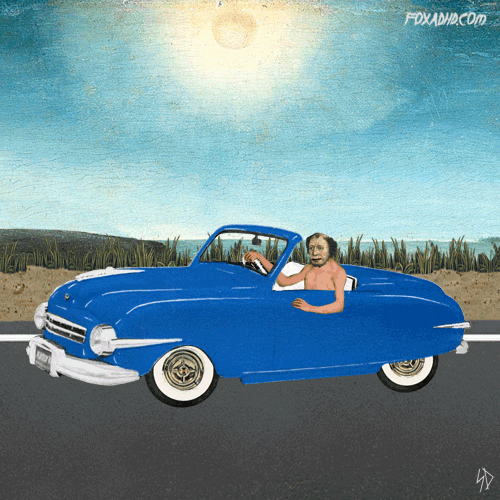 giphy.gif