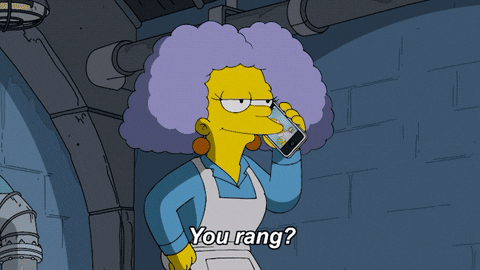 giphy.gif
