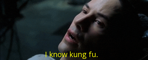 I know Kung Fu - Matrix
