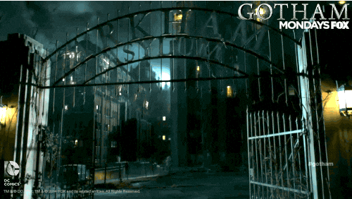 giphy.gif