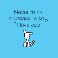 I Love You Dogs GIF by Chippy the Dog