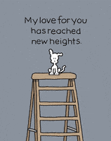 I Love You Dogs GIF by Chippy the Dog