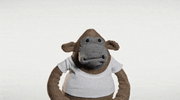 Shocked Oh No GIF by PG Tips