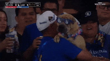 Los Angeles Dodgers Dog GIF by MLB