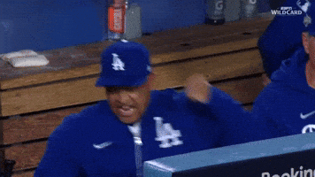 Los Angeles Dodgers GIF by MLB