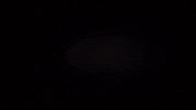 all in the family lifoasa GIF by ABC Network