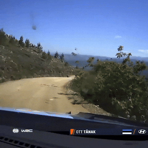 Portugal Hyundai GIF by FIA World Rally Championship