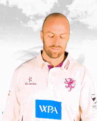 England Cricket Facepalm GIF by Somerset County Cricket Club