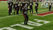 Fantasy Football Sport GIF by Nickelodeon