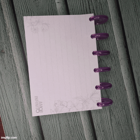 amorinfinitocadernos giphyupload GIF