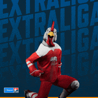 Hockey Hokej GIF by Tipsport extraliga