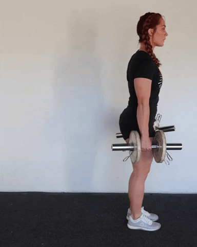 megsquats giphyupload GIF