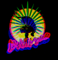 lattriquee fashion mode thrifting lattriquee GIF