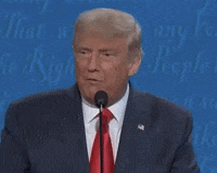 Donald Trump GIF by CBS News