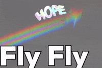 Fly Fly GIF by KaoruHironaka
