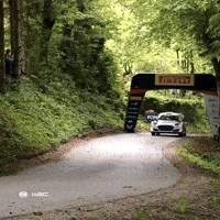 Rallying Ford GIF by FIA World Rally Championship