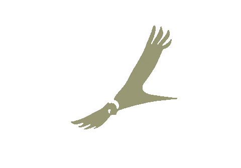 JourneyArg giphyupload journey mates termos Sticker