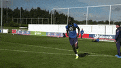 Three Lions Football GIF by England
