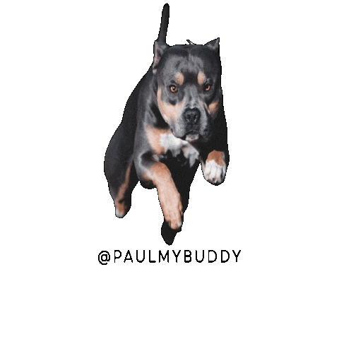 Dog Jump Sticker by TOM BROLIN