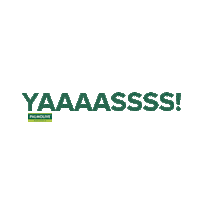 Yas Yes Sticker by Palmolive Naturals