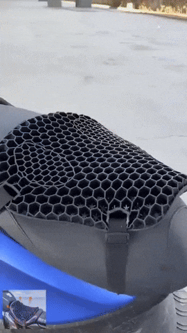 dinorah28 giphyupload GIF