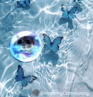 Good Morning Butterfly GIF by Sad Hamster