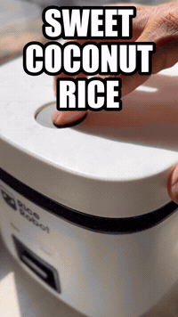 Sweet Coconut Rice | Rice Robot