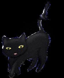 Mitsukoandco giphygifmaker cat halloween blackcat GIF