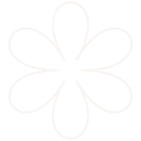 somosmoodhr white flower flor deco Sticker