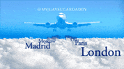 Travel Vacation GIF by M|SD Official