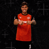 Bayer 04 Bundesliga GIF by Bayer 04 Leverkusen