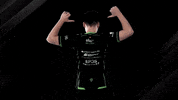 Jersey GIF by Sprout