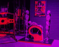 stereo_kontora museum pinkrabbit GIF