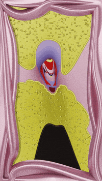 Ls528 trippy psychedelic avatar disco GIF