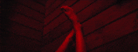 New Country Glasshouse GIF by Sam Williams