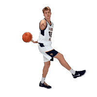 Basketball Sticker by WVU Tech Golden Bears