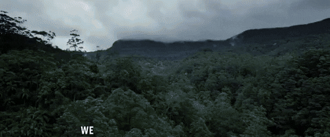Good Day Trees GIF by The Avenue Film