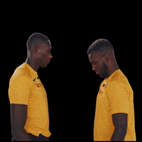 DeutscherLeichtathletikVerband sport germany jubel handshake GIF