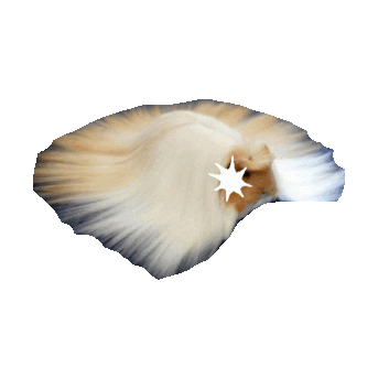 hair STICKER by imoji