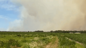 Smoke Billows From Fire in New Jersey State Forest
