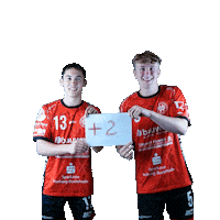 Sport Handball Sticker by Hollenstedt-Handball